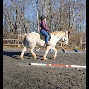 Meet your Posher, Nanette